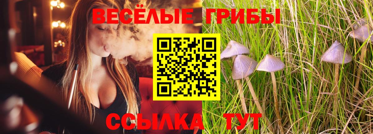 цены   Галлюциногенные грибы прущие грибы  Вход с VPN  Галлюциногенные грибы Psilocybine cubensis  Серов 