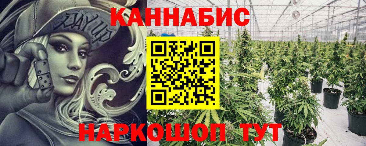 Бошки Шишки MAZAR Серов